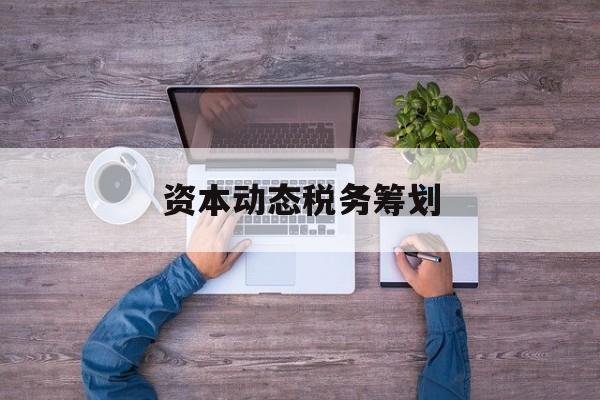 资本动态税务筹划(资本动态税务筹划案例)葫芦岛市