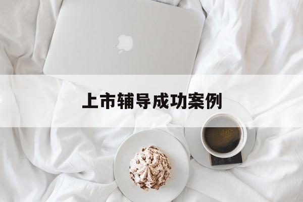上市辅导成功案例(上市辅导成功后肯定会上市吗)葫芦岛市