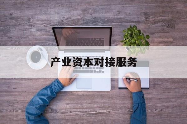 产业资本对接服务(产业资本对接服务包括哪些)葫芦岛市